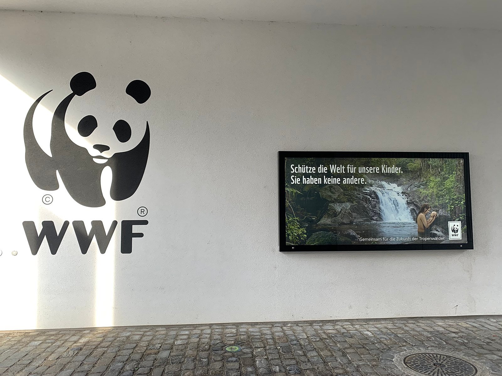 11 septembre 1961 création de la WWF www.historire.fr