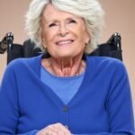 images détournées de Sophie Davant www.historire.fr